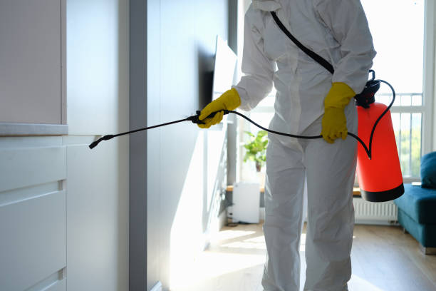 Certified Mold Removal in Jonesboro, IN